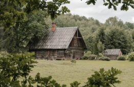 Lietuvoje viešėjęs Solomon Darwin: „Sumaniose gyvenvietėse žmonės yra laimingesni“